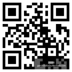 国足备战攻,心理减压终,极指南,爱游戏体育官网,爱游戏体育App,爱游戏体育下载,爱游戏体育登录,爱游戏体育平台