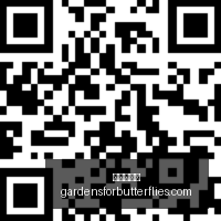 塞尔达传说,时之笛,重制版独家,爱游戏体育官网,爱游戏体育App,爱游戏体育下载,爱游戏体育登录,爱游戏体育平台