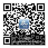 台积电联手,马斯克,合作布局芯,爱游戏体育官网,爱游戏体育App,爱游戏体育下载,爱游戏体育登录,爱游戏体育平台